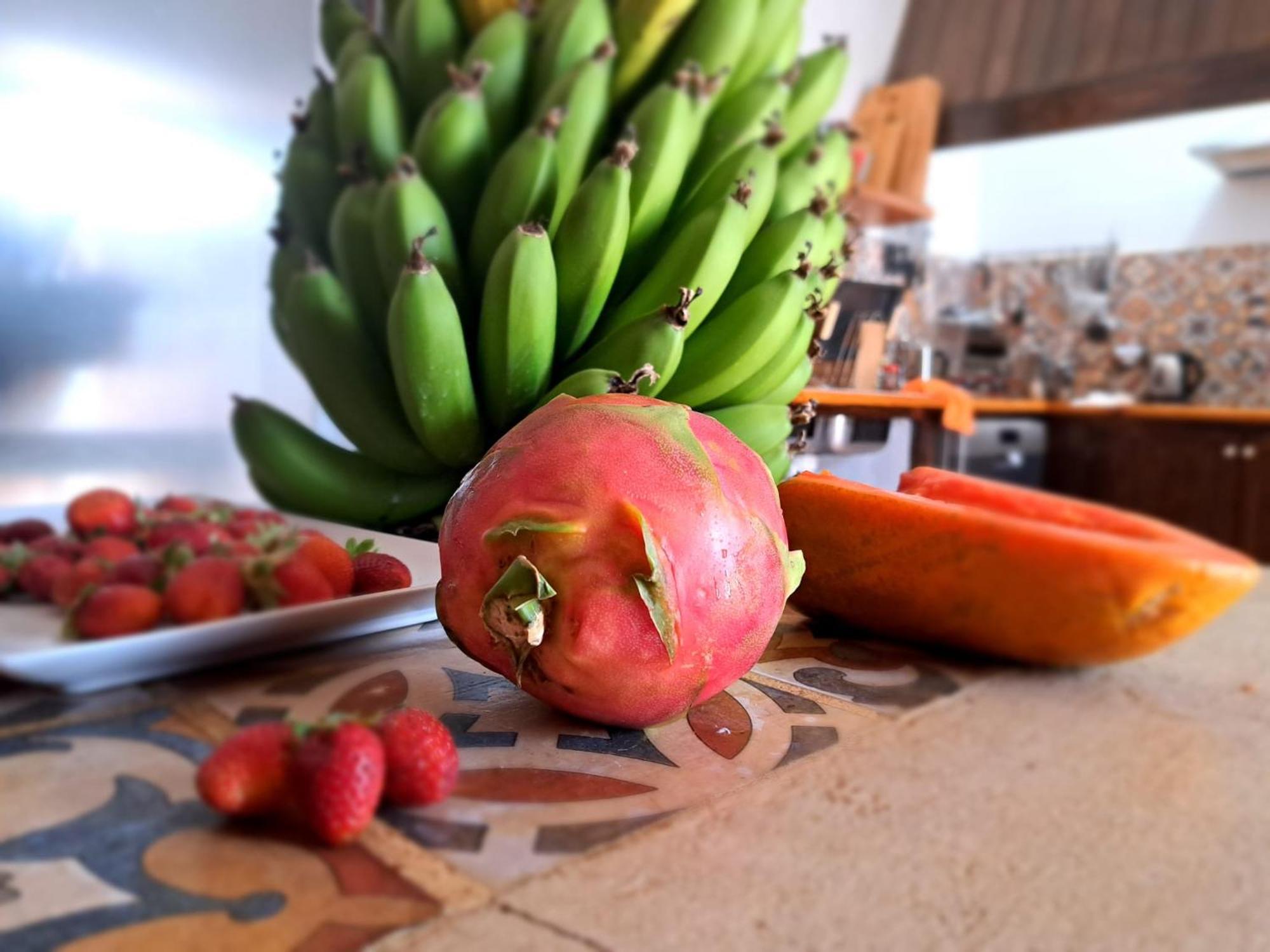 Finca Isolina Hotel Boutique - Adults Recommended Mácher Εξωτερικό φωτογραφία